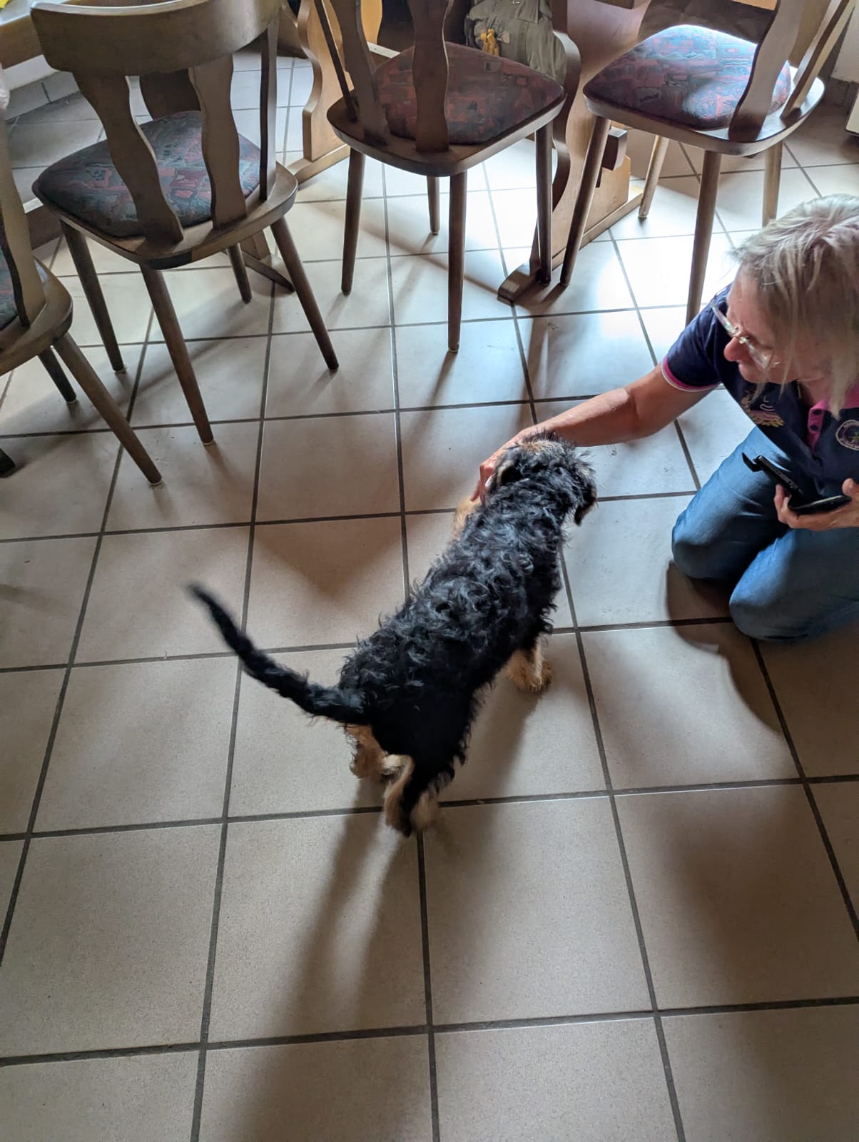 Nachwuchs bei Mollies